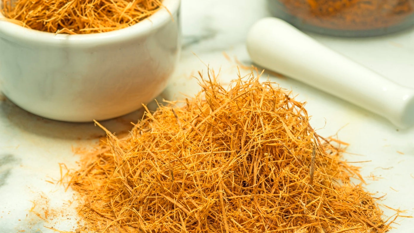 Cat's Claw Benefits: How to Supplement with this Research-Backed Herb