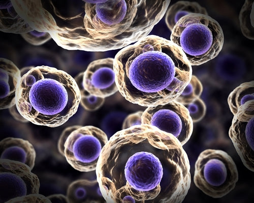 What do cell damage and cancer have in common?